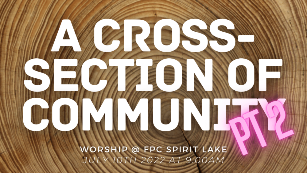 Cross-section of Community- Part II