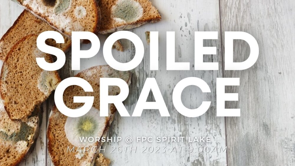 Spoiled Grace Image